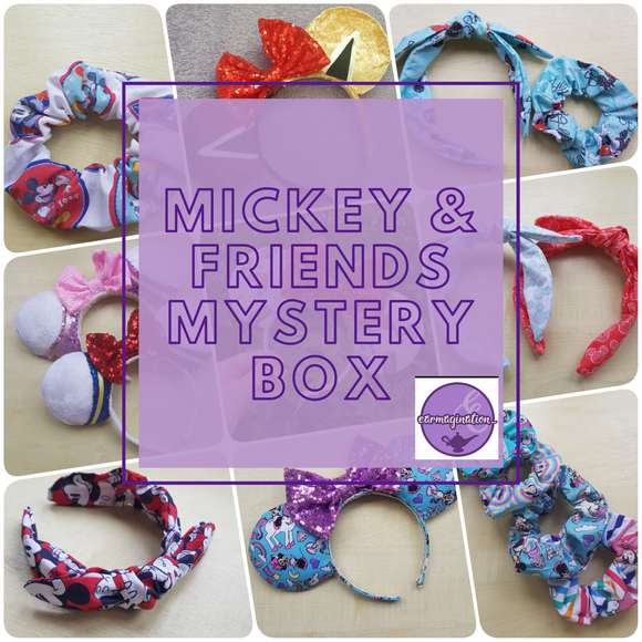 Mickey and Friends inspired Mystery Box